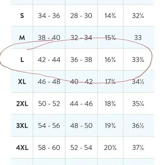 US Polo Assn Men's Blue Stretch Twill Jogger Pull On Shorts NEW NWT sz L - Picture 4 of 9